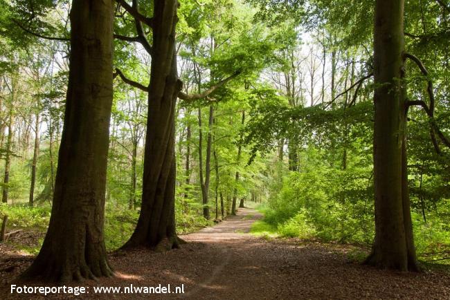 Het Onland - De Slangenburg