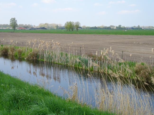 langs de sloot