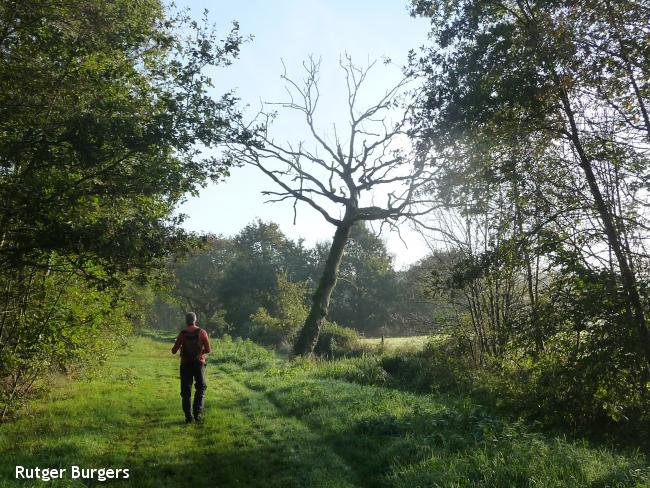 Te gek om los te lopen Bergen op Zoom