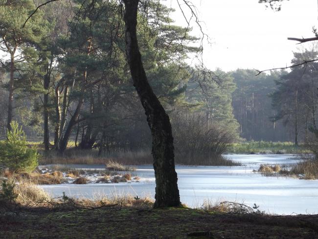  De Ravenvennen