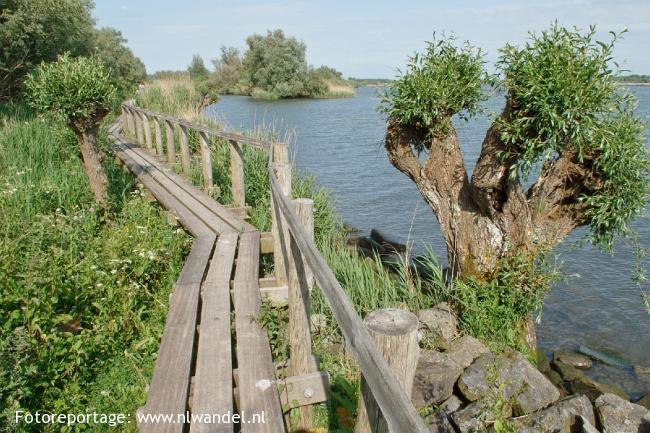 Grienden Oude Maas