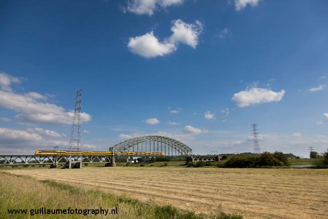 Uiterwaarden met zicht op Rijnbrug