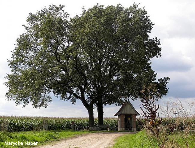 Mariakapel Zenderse Esch