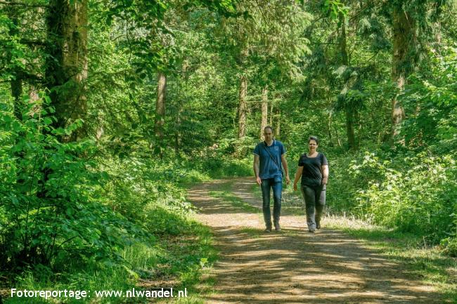 Groene Wissel Haulerwijk