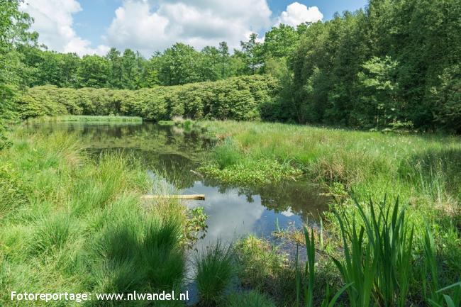 Groene Wissel Nunspeet 2