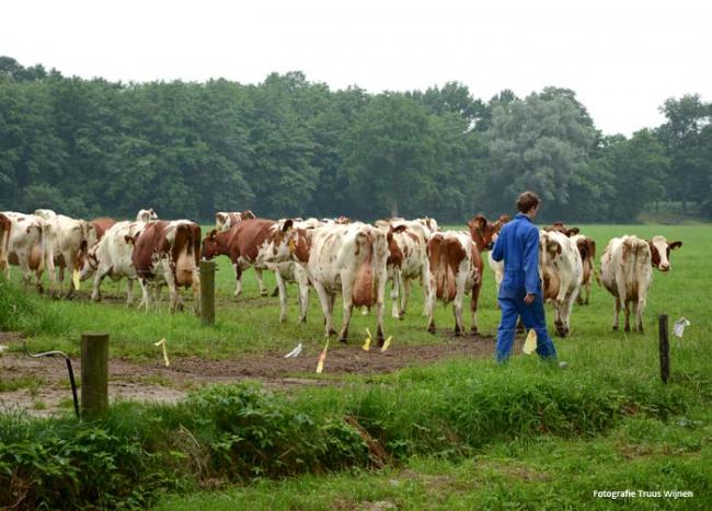 Albergen - Herinckhave - Kroezeboom