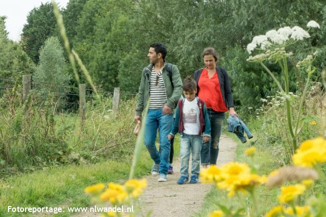 Groene Wissel Utrecht Lunetten 2