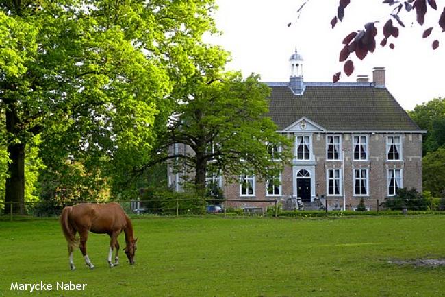 Landgoedwandeling Molecaten