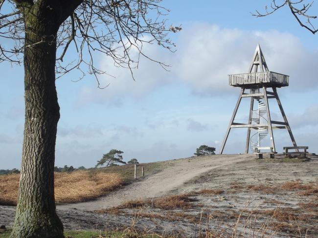 Paraboolduin met 12,5 meter hoge uitkijktoren
