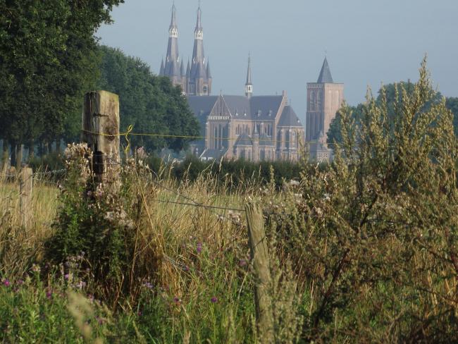 Uiterwaarden met zicht op kerk in Cuijk