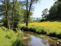 Wandelen rondom Zuid-Limburg