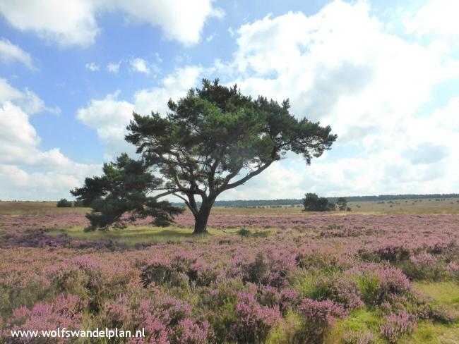 Trage Tocht Hoog Buurlo