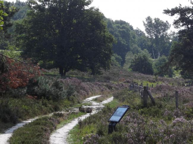 Herkenbosscherheide-tocht