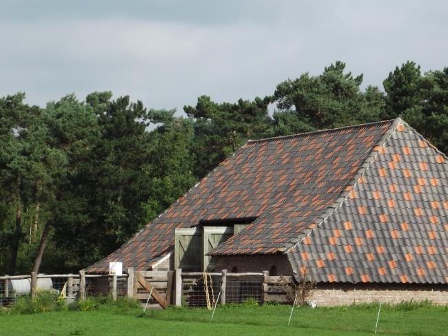 De Bergense schaapskooi