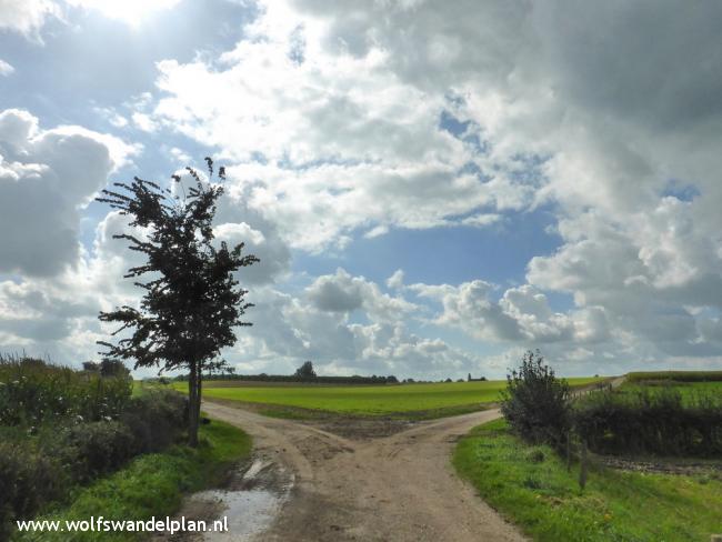 Trage Tocht Sint Geertruid