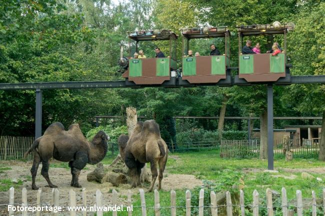 Groene Wissel Rhenen 2