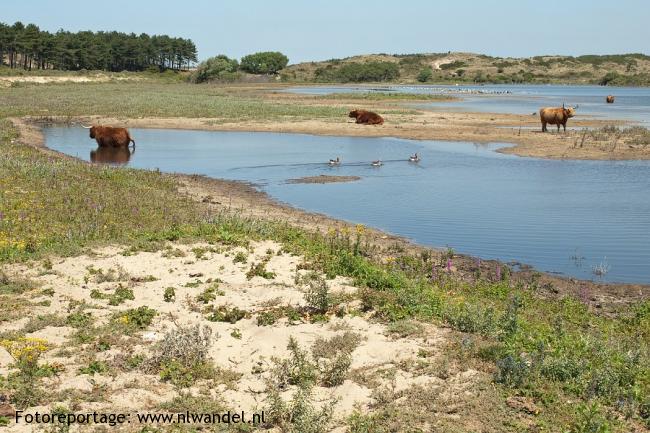 Kennemerduinen (van zuid naar noord)