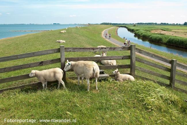 Friese IJsselmeerdijk