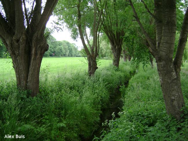 Rondom Zuid-Limburg etappe 3