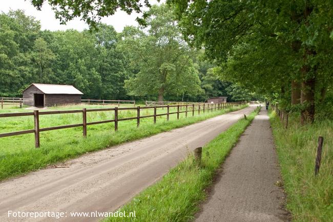 Niersenseweg