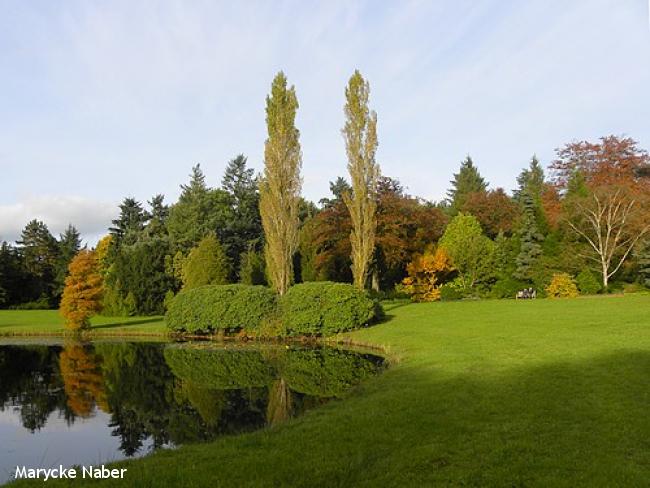 Vijver begraafplaats Kranenburg