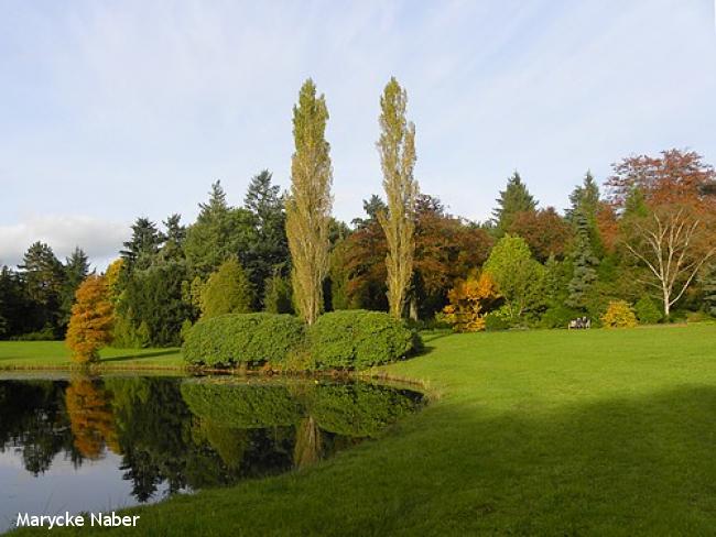 Landgoedwandeling Kranenburg