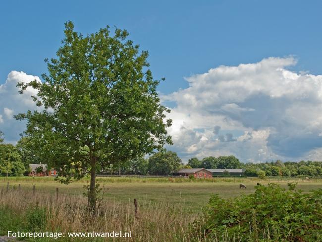 Op het Zand