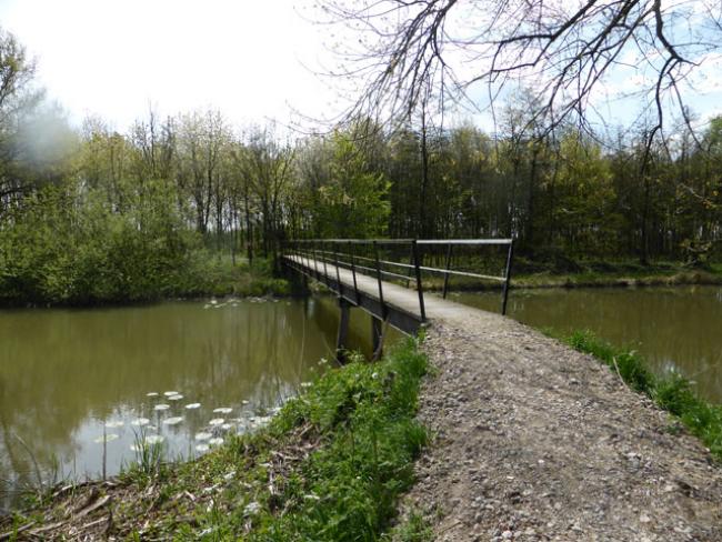 Schaarweide route