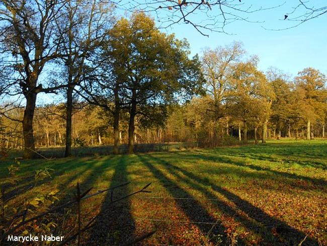 Landgoedwandeling vier landgoederen bij Heino