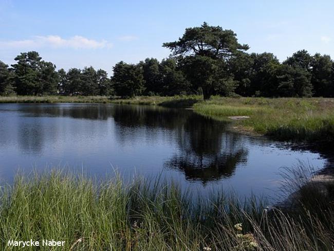 Landgoedwandeling rond Tubbergen