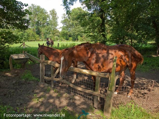 Landgoed Twickel