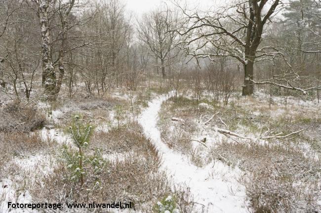 Wolfheze - Ede-Wageningen