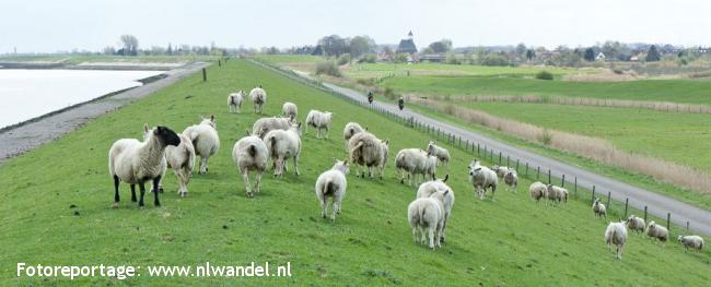 De Zak van Zuid-Beveland