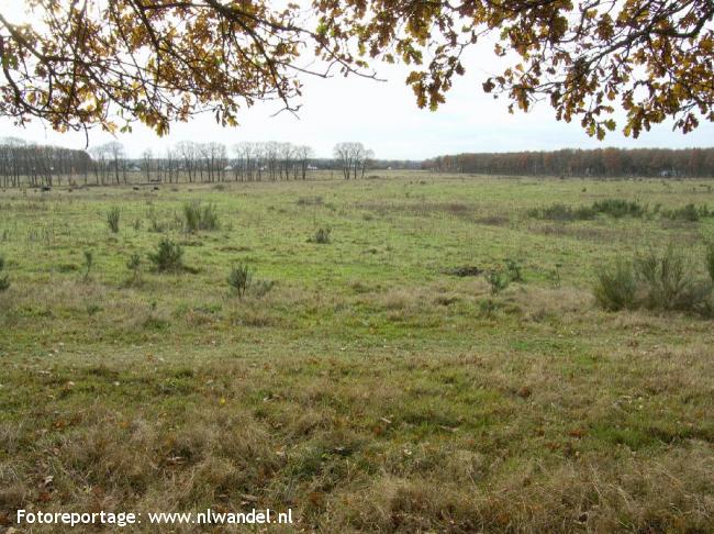 Utrechtse Heuvelrug