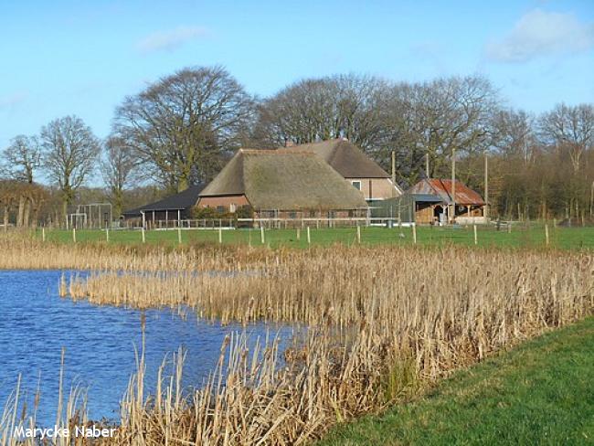 Ommetje Veldhoek