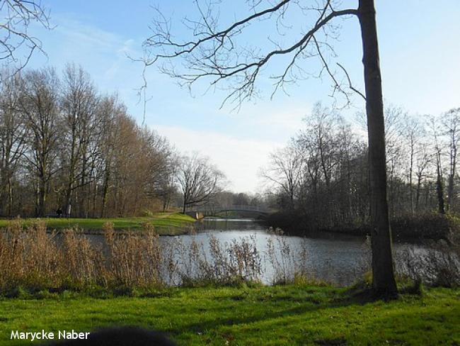 Vijver Park de Wezenlanden