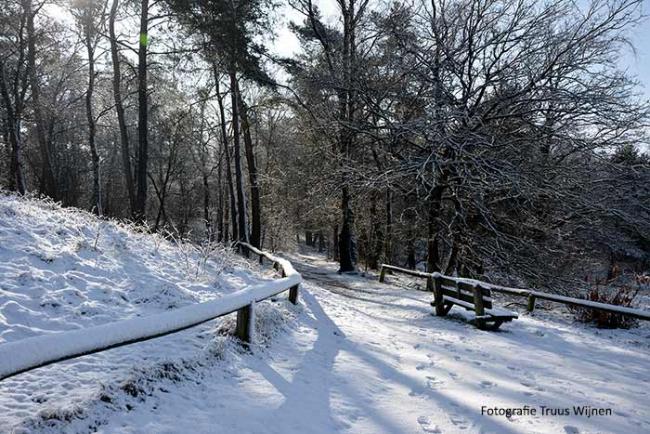 Bergwandelen tussen Rijssen en Markelo