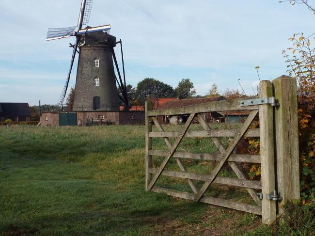 Korenmolen Sint Petrus