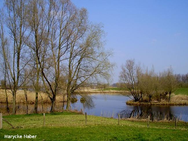 Buitenlanden Langenholte