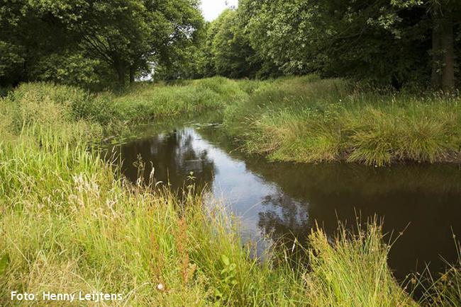 Meander bij het Bosland