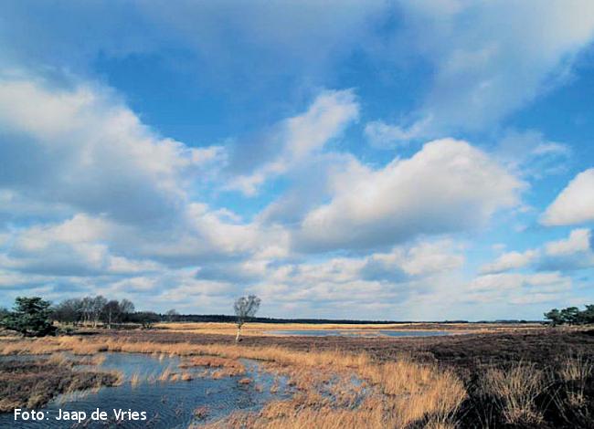 Het Hijkerveld