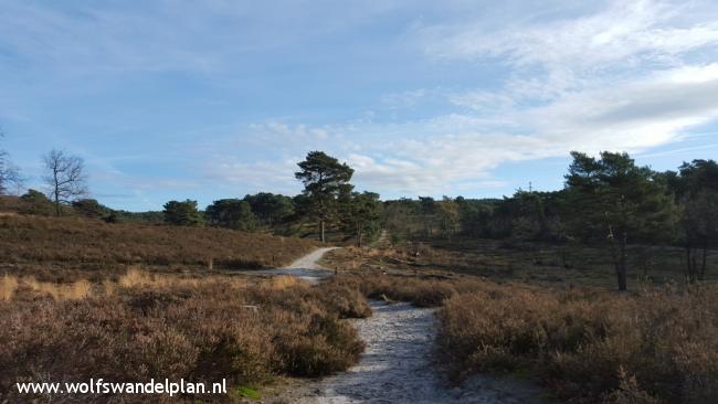 Trage Tocht Brunssummerheide