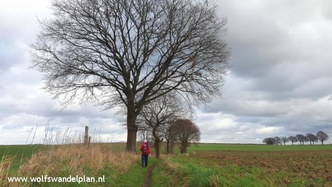 Trage Tocht Schimmert