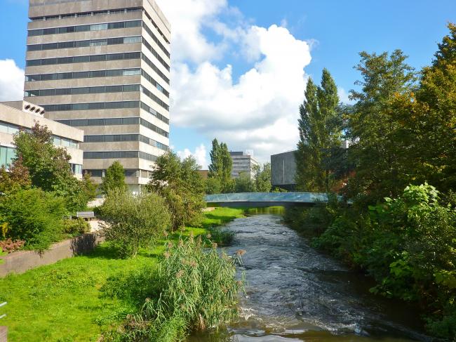 Dommel bij Van Abbe Museum