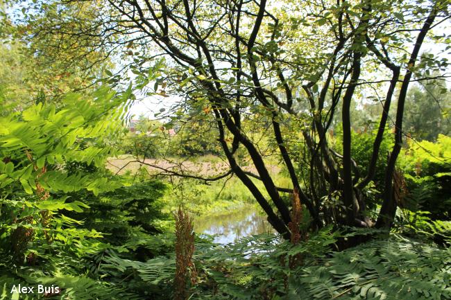 Amstelveens Groen: Parkenwandeling