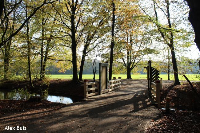 Amstelveens Groen: Amsterdamse Bos 1