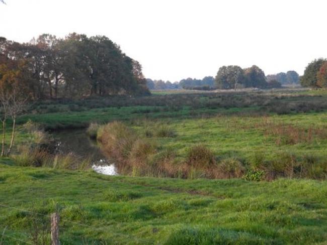 De Ruiten Aa in Ellersinghuizen