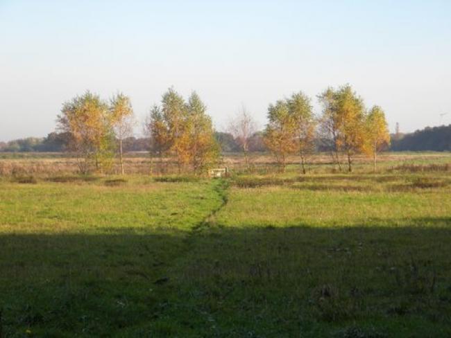 Door de wei naar de Breedwisch