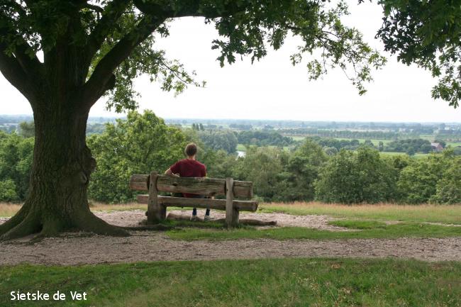 uitzicht Mookerheide