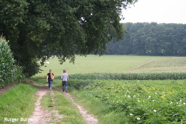 Bergwandeling Lochem